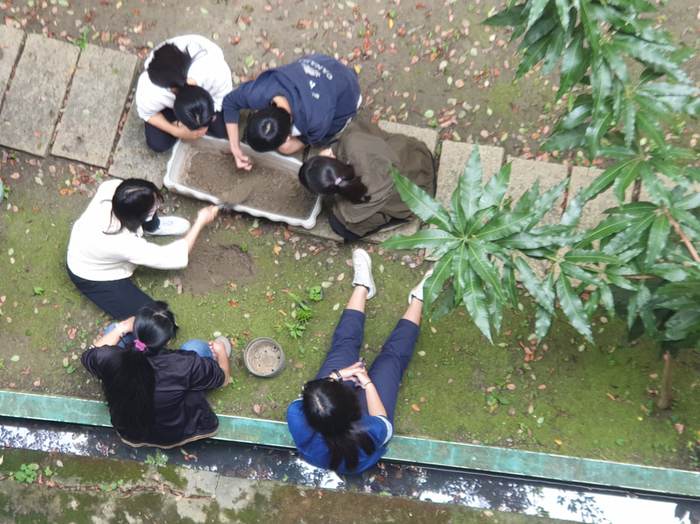 環境教育